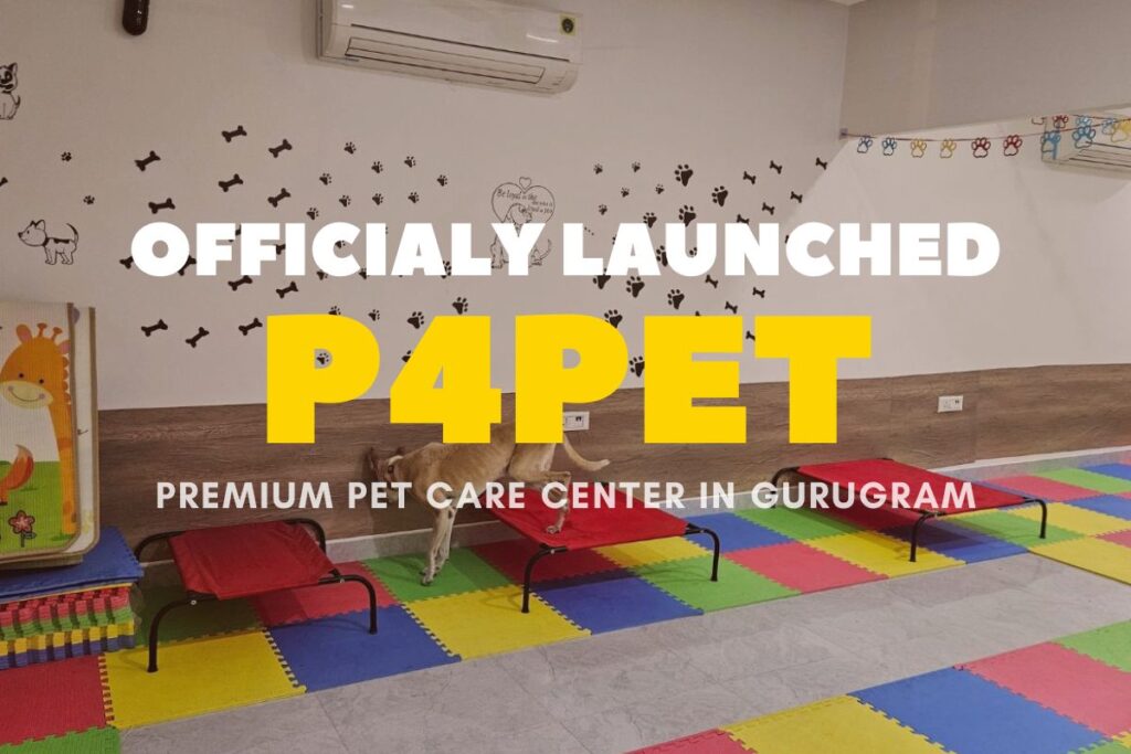 Official Launch of P4PET – Premium Pet Care Center in Gurugram